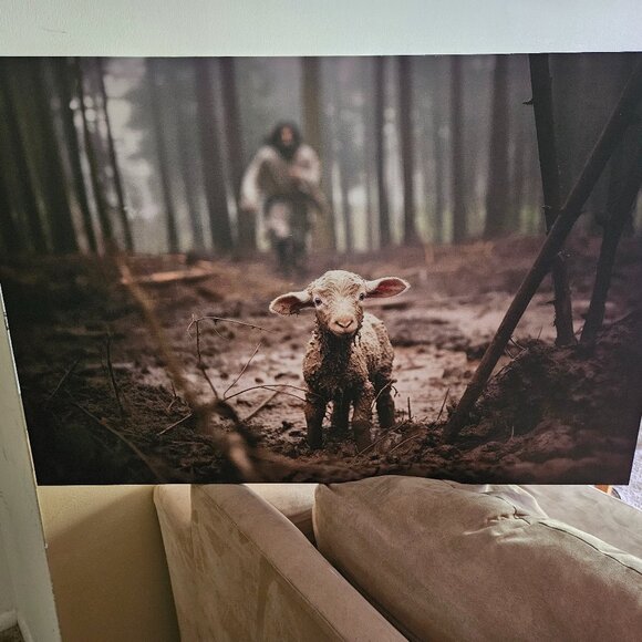 Jesus Running After Lamb Framed Canvas